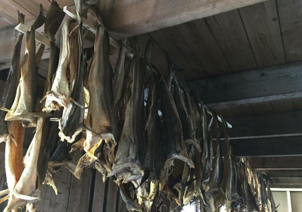 Nyksundrom, Nyksund Otel Dış mekan fotoğraf